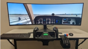 flight sim